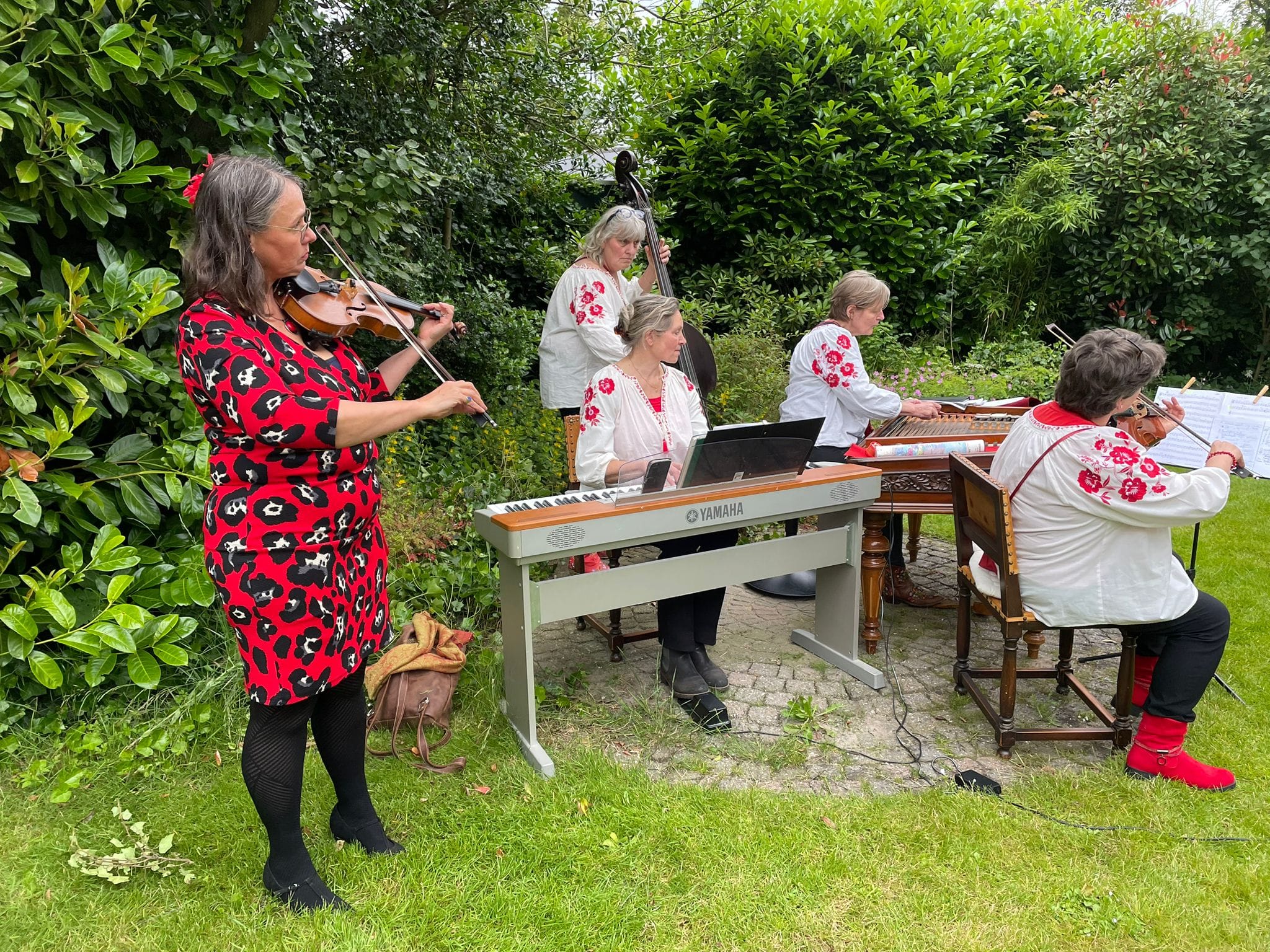 Csirke Banda optreden